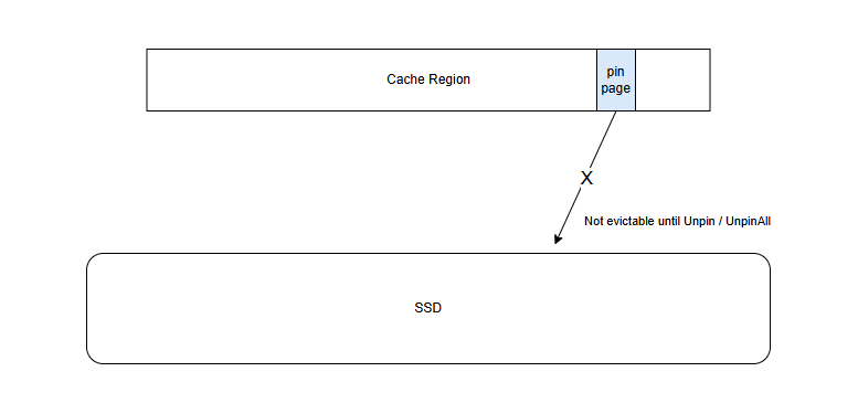 pinMemory — a pinned page in the Cache Region is not evictable until Unpin / UnpinAll